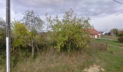 Aufort Christelle, Maçon à Vornay