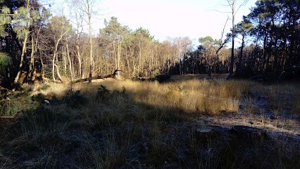 Quenouille Stéphane, Maçon à Sainte-Marguerite-sur-Mer