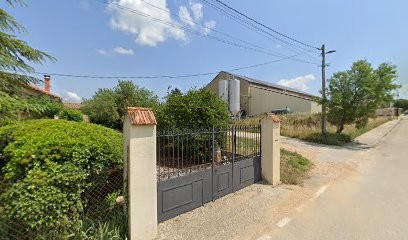 Pesenti Francis, Maçon à Saint-Pons-la-Calm