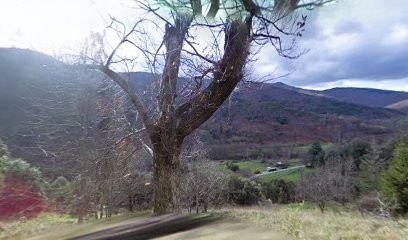 Rampon Alain, Maçon à Saint-Privat-de-Vallongue