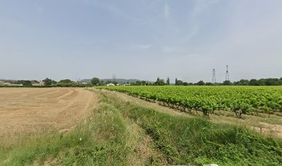 Carminati Guy, Maçon à Saint-Paul-les-Fonts