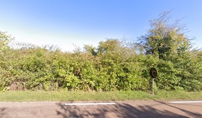 Horvat Thierry, Maçon à Tonnerre