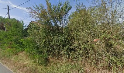 Massol Bâtiment, Maçon à Valence-d'Albigeois