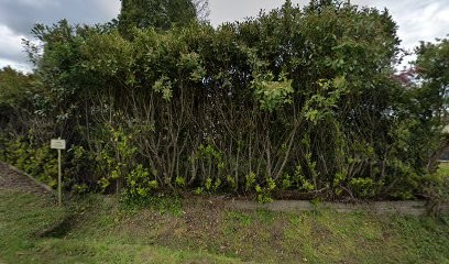 Da Mota Francisco, Maçon à Chaucenne