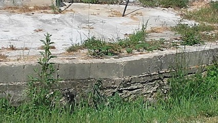 SARL AUGUSTE MAXIME, Maçon à Genouillé