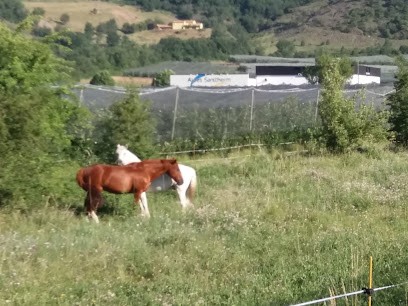 Aloia André, Maçon à La Saulce