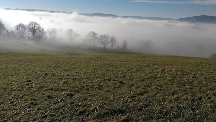 Das Neves Fernanda, Maçon à Neydens