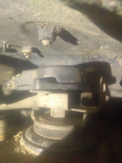 Darrieumerlou Arnaud (SARL), Maçon à Oeyregave