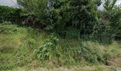 Michelet Pierre, Maçon à La Celle-Dunoise