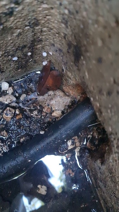 Valero Rénovation, Maçon à Peypin