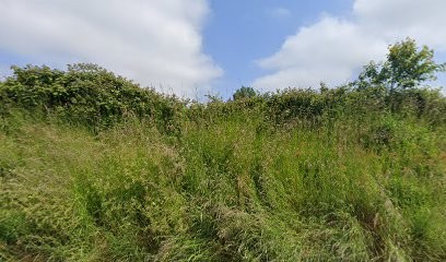 Alligny Christophe, Maçon à Bourville