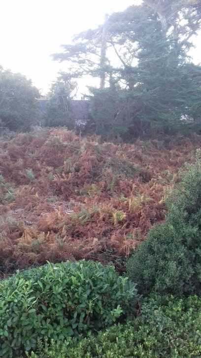 S.l.g Maconnerie, Maçon à Crozon