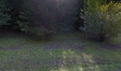 Bacchetti et Fils SARL, Maçon à Sixt-Fer-à-Cheval