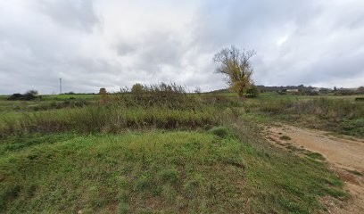 Blache Alain, Maçon à Colombier-le-Vieux