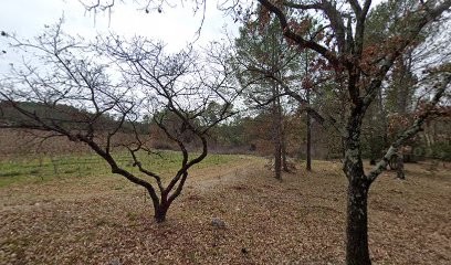 Trans Batiment, Maçon aux Arcs