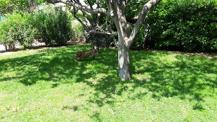Tortosa Philibert, Maçon à Creissan