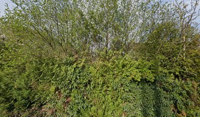 Dafour René, Maçon à Cusset