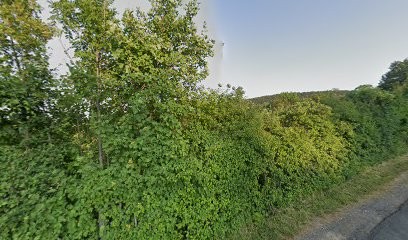 Colavet Patrick, Maçon à Saint-Romain-au-Mont-d'Or