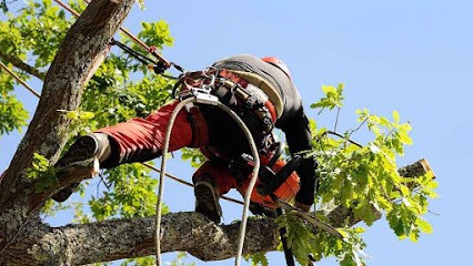 FAUCHEUX BRUNO, Maçon à Ligné