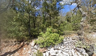 Sarl Moschetti Dominique Dominique, Maçon à Régusse