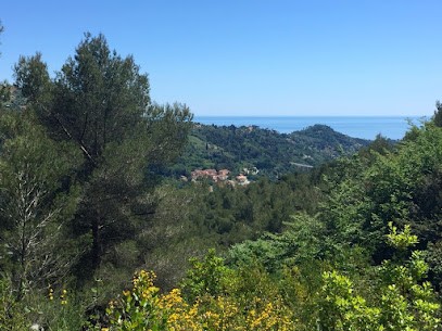 Sarl Ricardo, Maçon à Menton