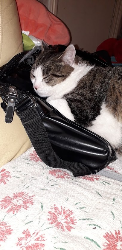 SAS Faure Boulard, Maçon à Fère-Champenoise