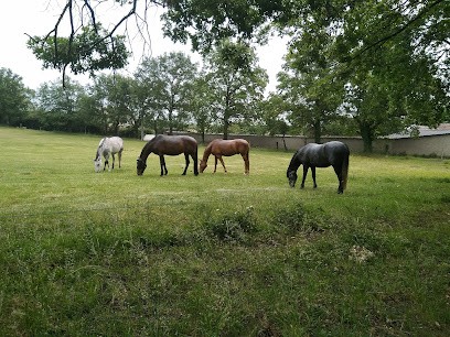 Da Cunha Thierry, Maçon à Chaponost
