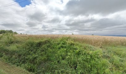 Alexandrov Eurl, Maçon à Puylaurens