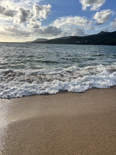 Bati pro renovation, Maçon à Propriano