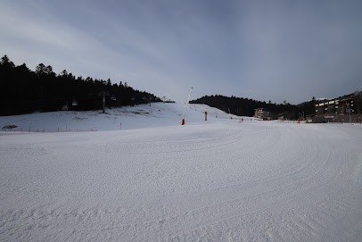 Godde Bernard Sarl, Maçon à Essertines-en-Donzy