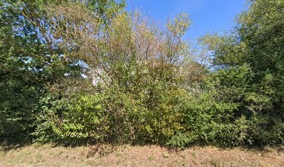 MCBA (SAS), Maçon à Chavagnes-en-Paillers