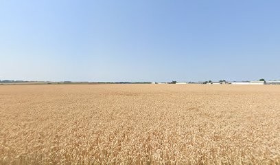 Paul Marie Sarl, Maçon à Courseulles-sur-Mer