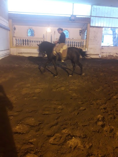 Cabinet Deci Sarl, Maçon à Saint-Gilles
