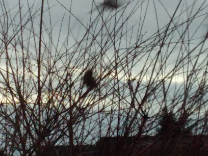 Havard André, Maçon à Saint-Didier