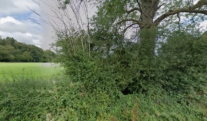 SA MACONNERIE, Maçon à Dimont