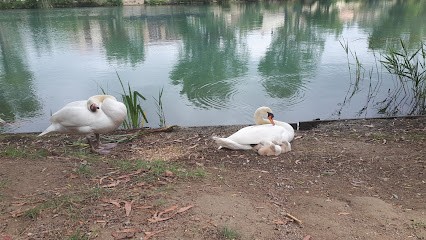 T.m.p, Maçon à Saint-Martin-de-Crau