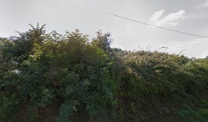 Artal Alberto, Maçon à Livron-sur-Drôme