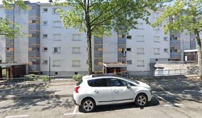 Bulbul Ali, Maçon à Chambéry