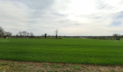 Alti Services, Maçon à Melesse