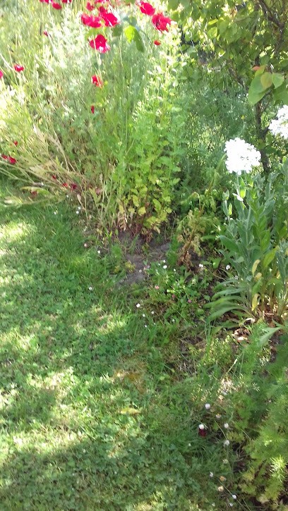 Allard Damien, Maçon à Soulac-sur-Mer