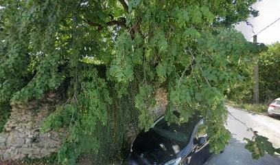 Artisans Batisseurs Cieski Della-Pietra (ABCD) | Maçonnerie & Renovation, Maçon à Quissac