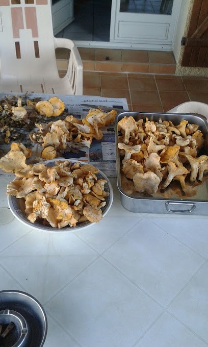 Rinaldo Michel, Maçon à Urdens