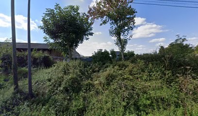 Thierry Camard, Maçon à Yffiniac