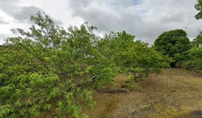 Constantin Didier, Maçon à La Barde