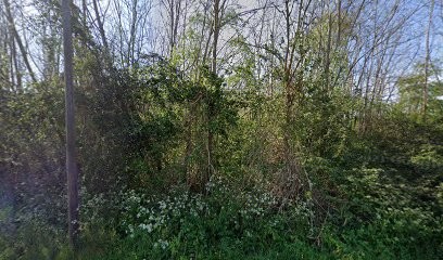 Entreprise Lenestour, Maçon à Illats