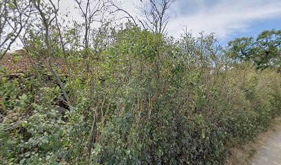 Scotti Maconnerie, Maçon à Romans-sur-Isère