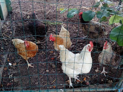 Besseron Pascal, Maçon à Montamisé