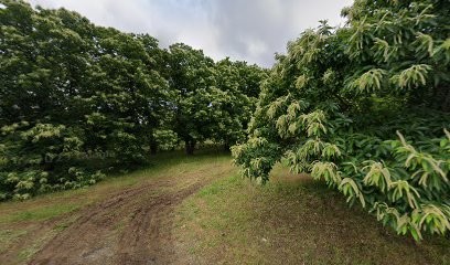 Ferrand Anthony, Maçon à Gravières