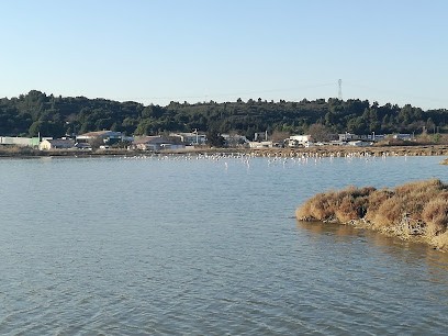 J.l. Aubry Renovation, Maçon à Saint-André