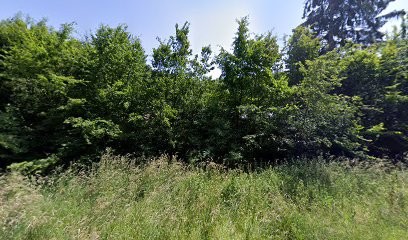 Bassaille Rémi, Maçon à Saint-Mard-de-Réno